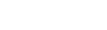 flyNEXA Official Site Logo