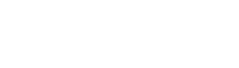 flyNEXA Official Site Logo